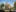 31469 Ext 11 Small